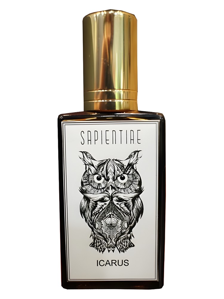 Ícarus – Sapientiae Niche