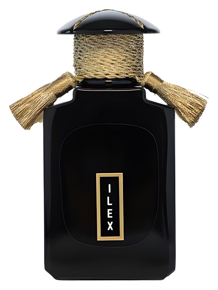 Ilex – Cultus Artem