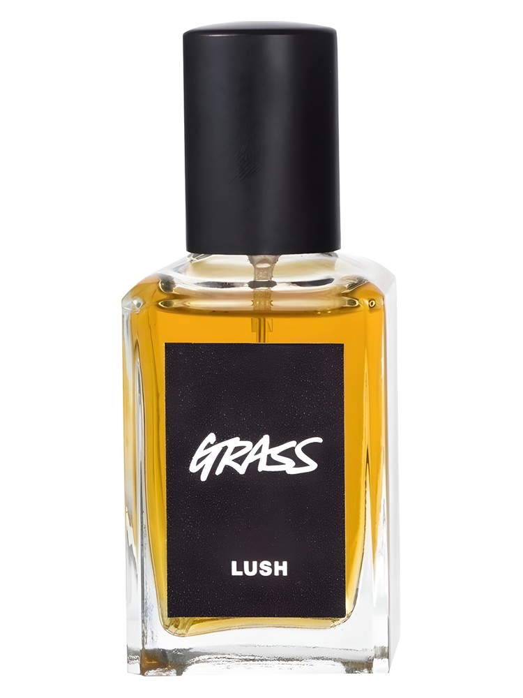 Grass – Lush