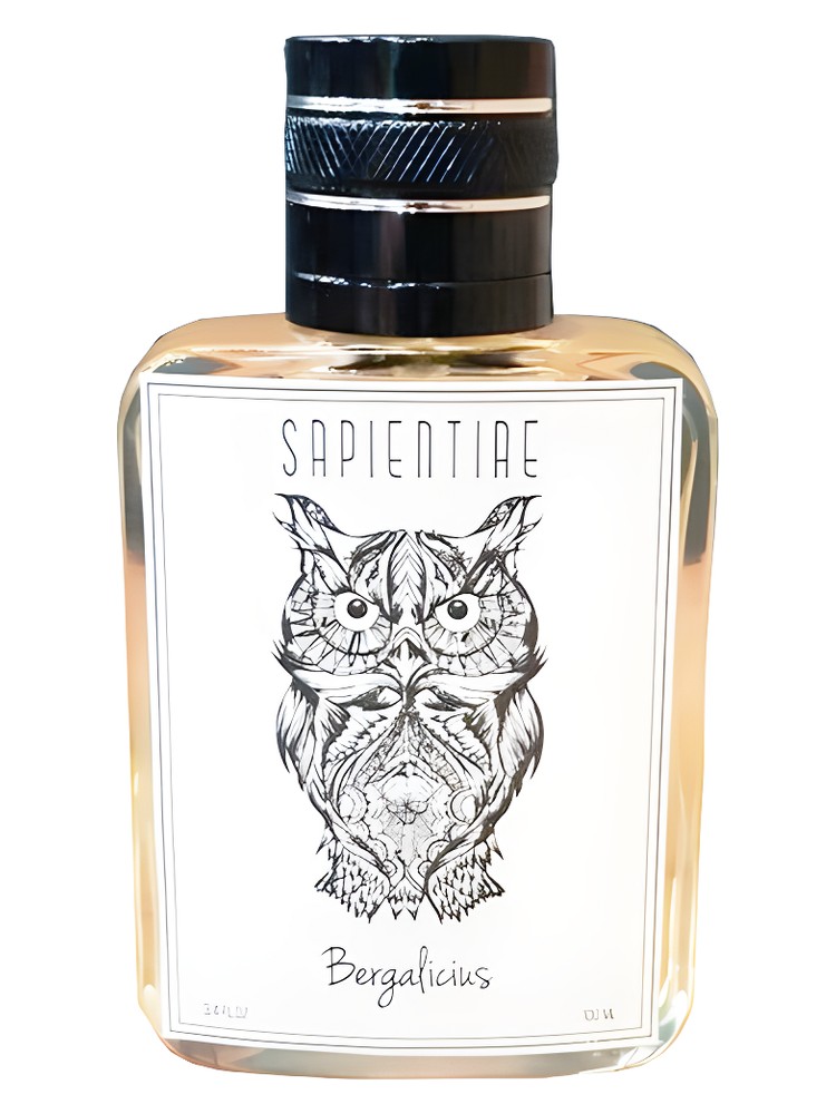 Bergalicius – Sapientiae Niche