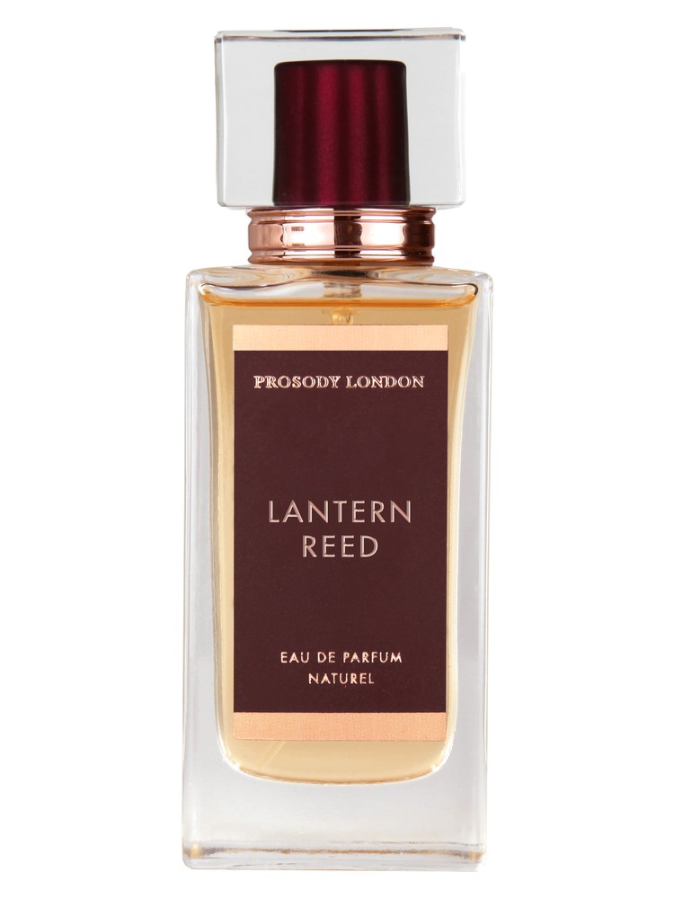 Lantern Reed – Prosody London