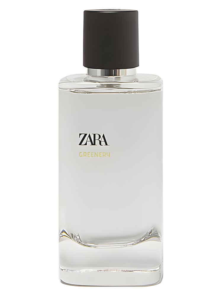 Greenery – Zara