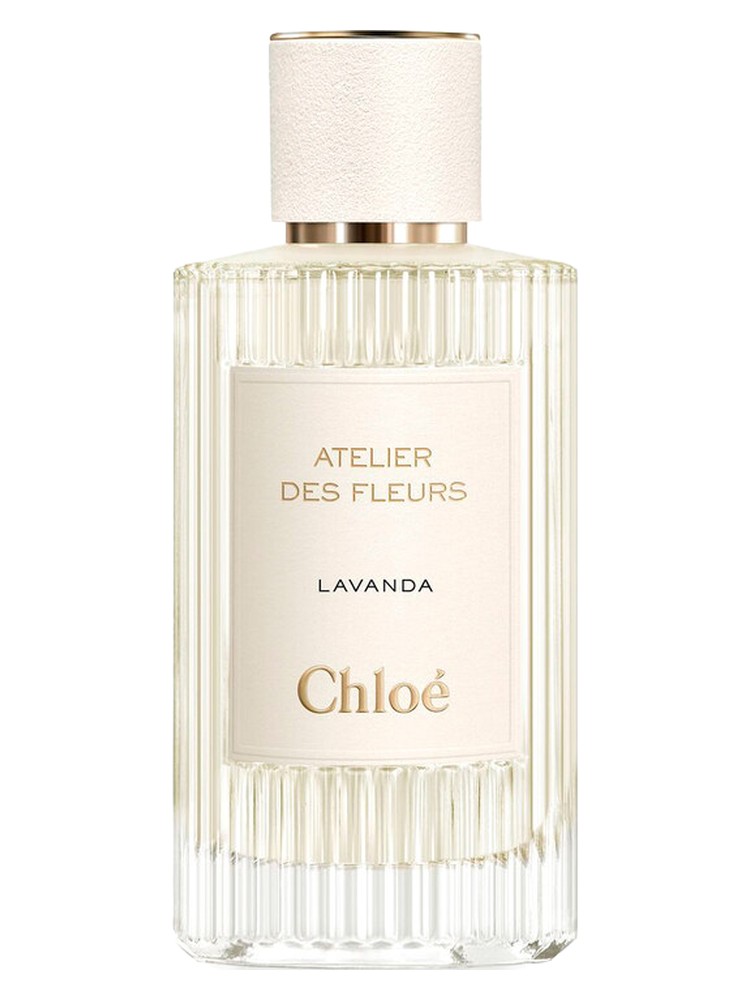 Lavanda – Chloé
