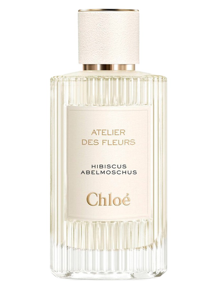 Hibiscus Abelmoschus – Chloé