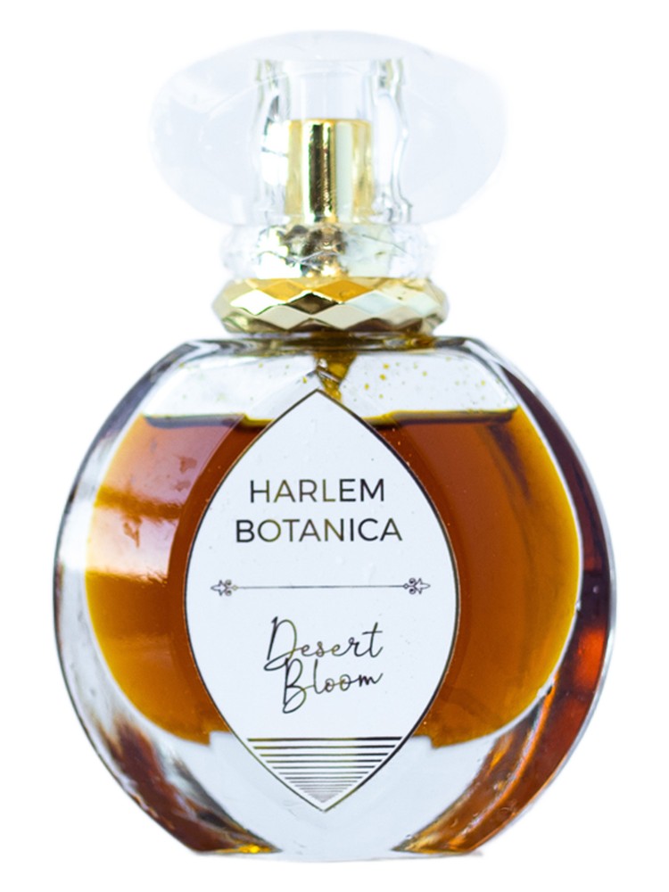 Desert Bloom – Harlem Botanica