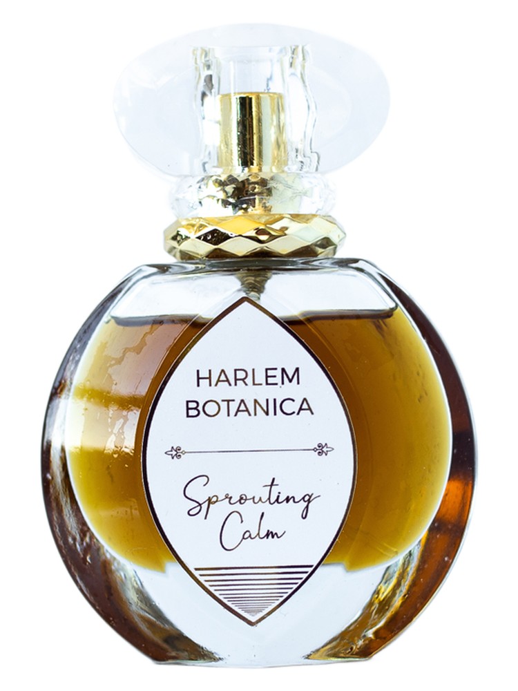 Sprouting Calm – Harlem Botanica