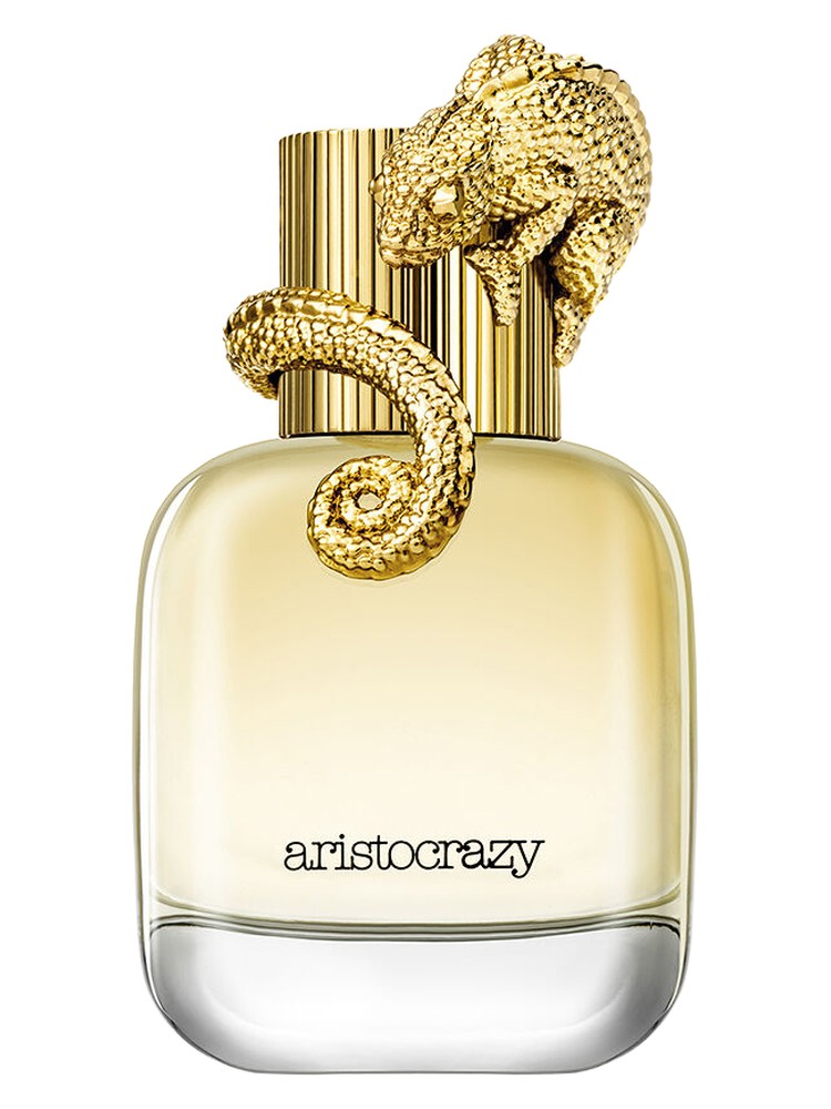Intuitive – Aristocrazy