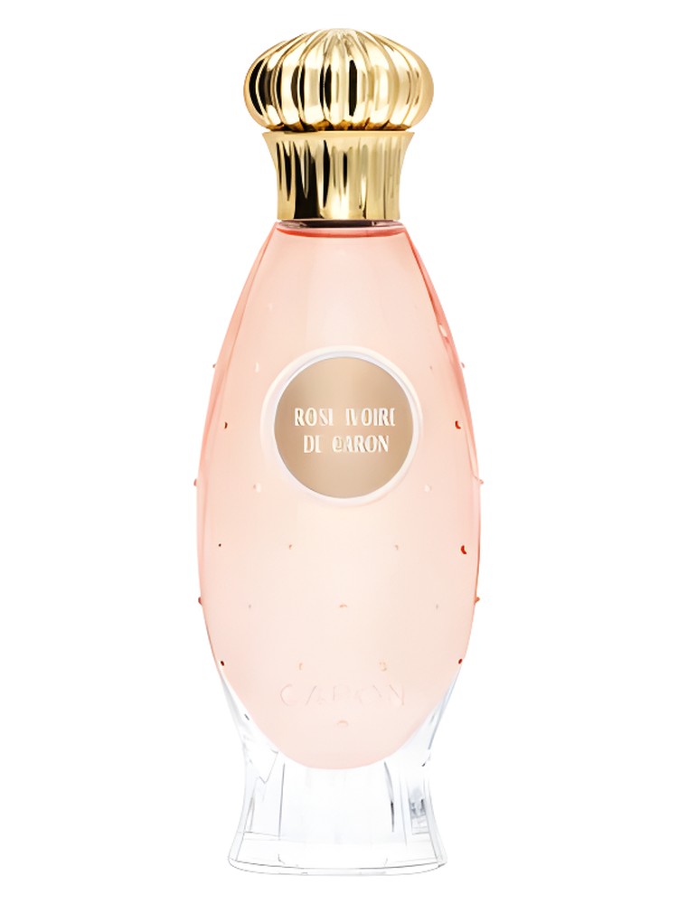 Rose Ivoire – Caron