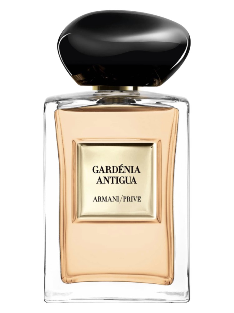 Gardénia Antigua – Giorgio Armani