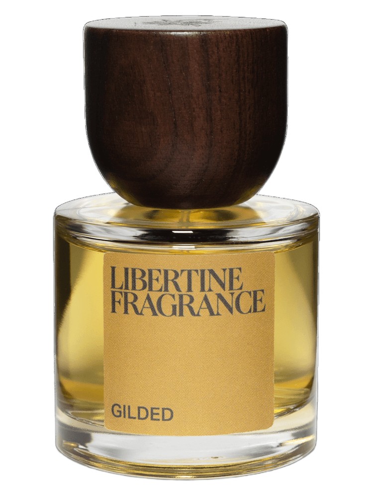 Gilded – Paraphrase