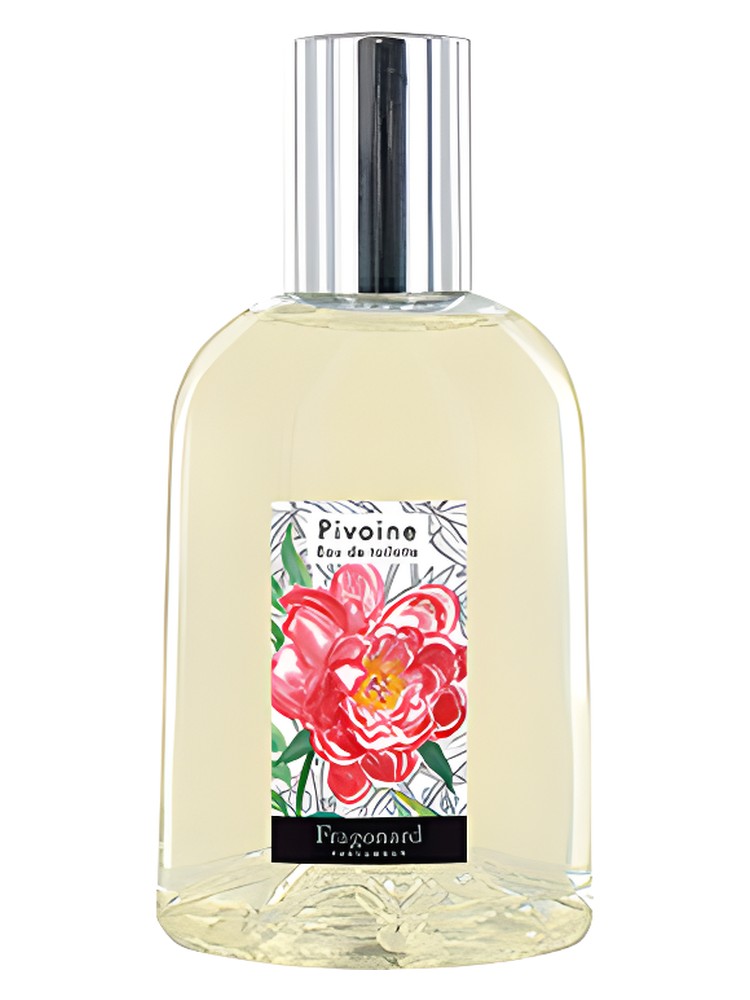 Pivoine – Fragonard