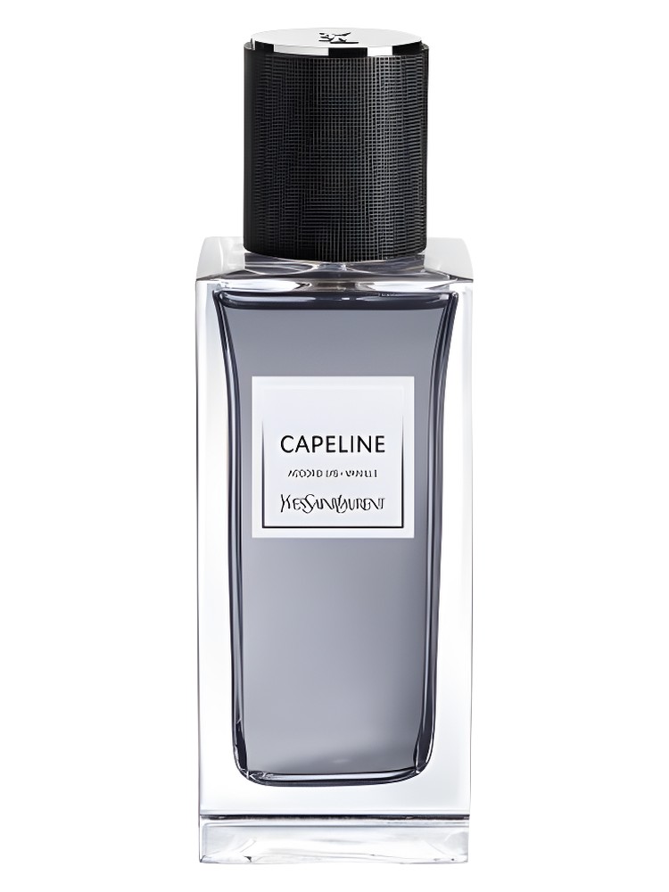 Capeline – Yves Saint Laurent