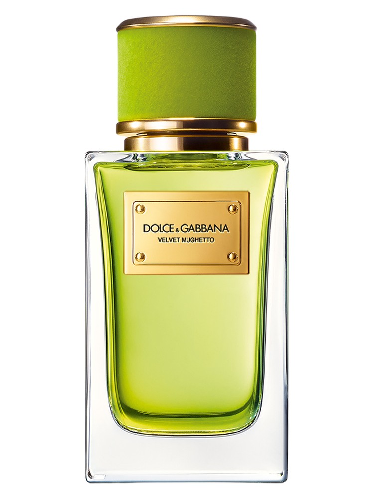 Velvet Mughetto – Dolce&Gabbana