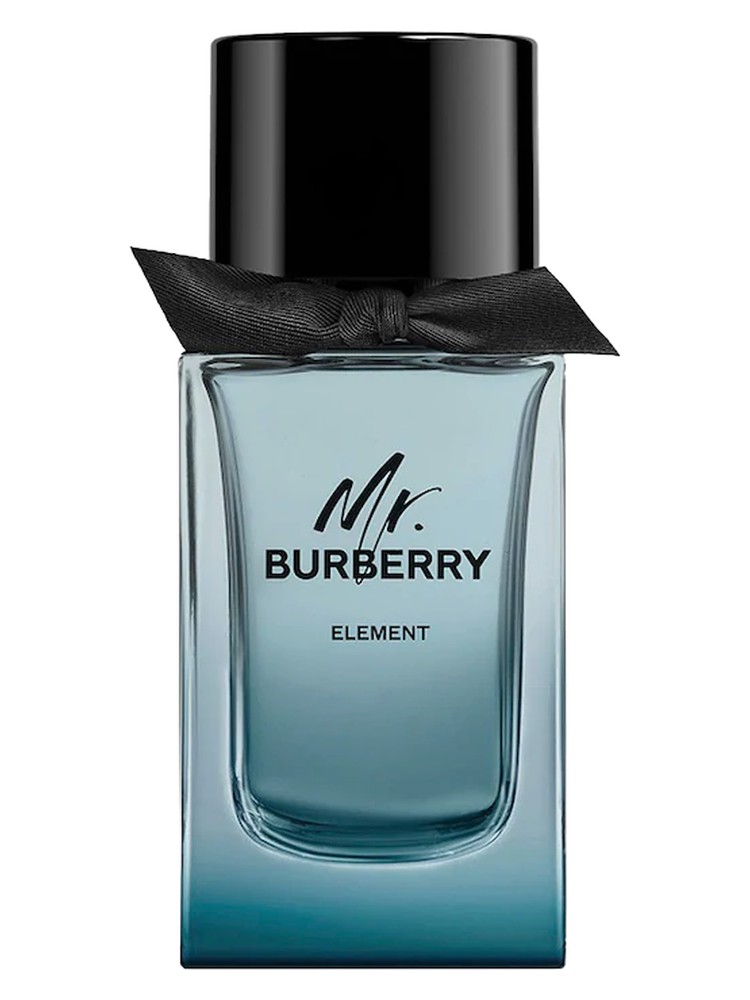 Mr. Burberry Element – Burberry