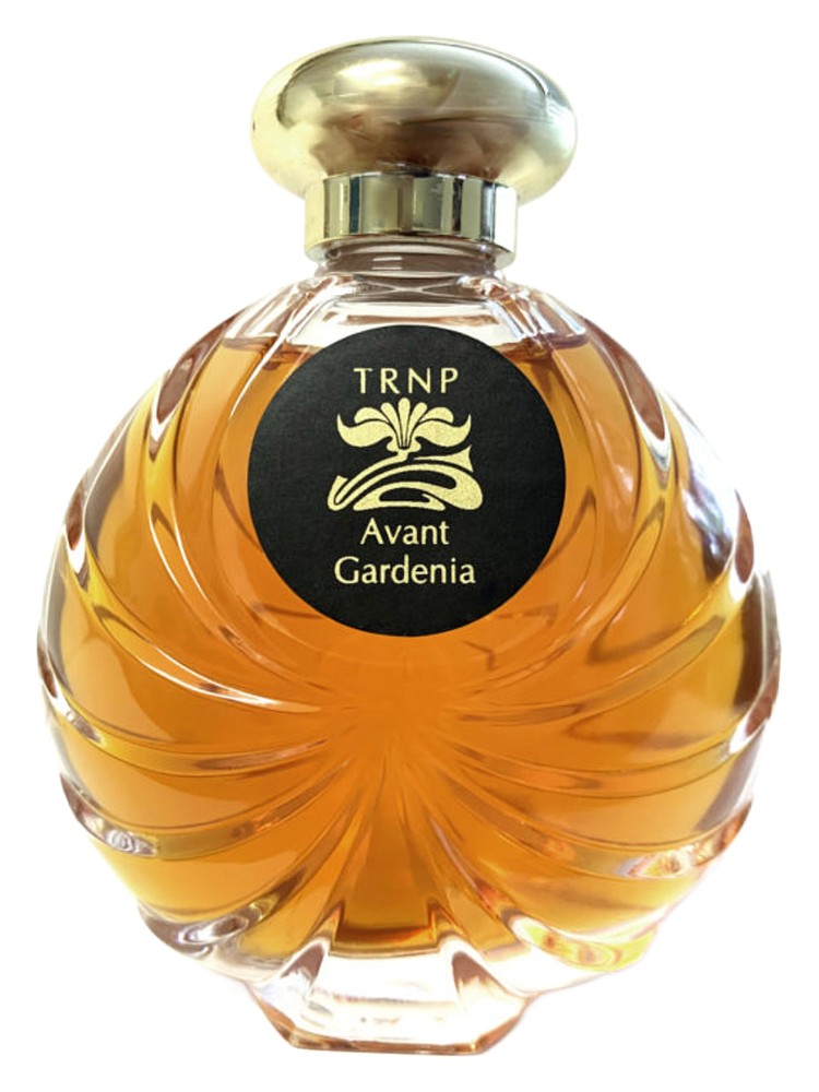 Avant Gardenia – TRNP
