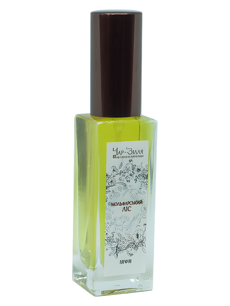 Molfar Forest / Мольфарський Ліс – Char-Zillya