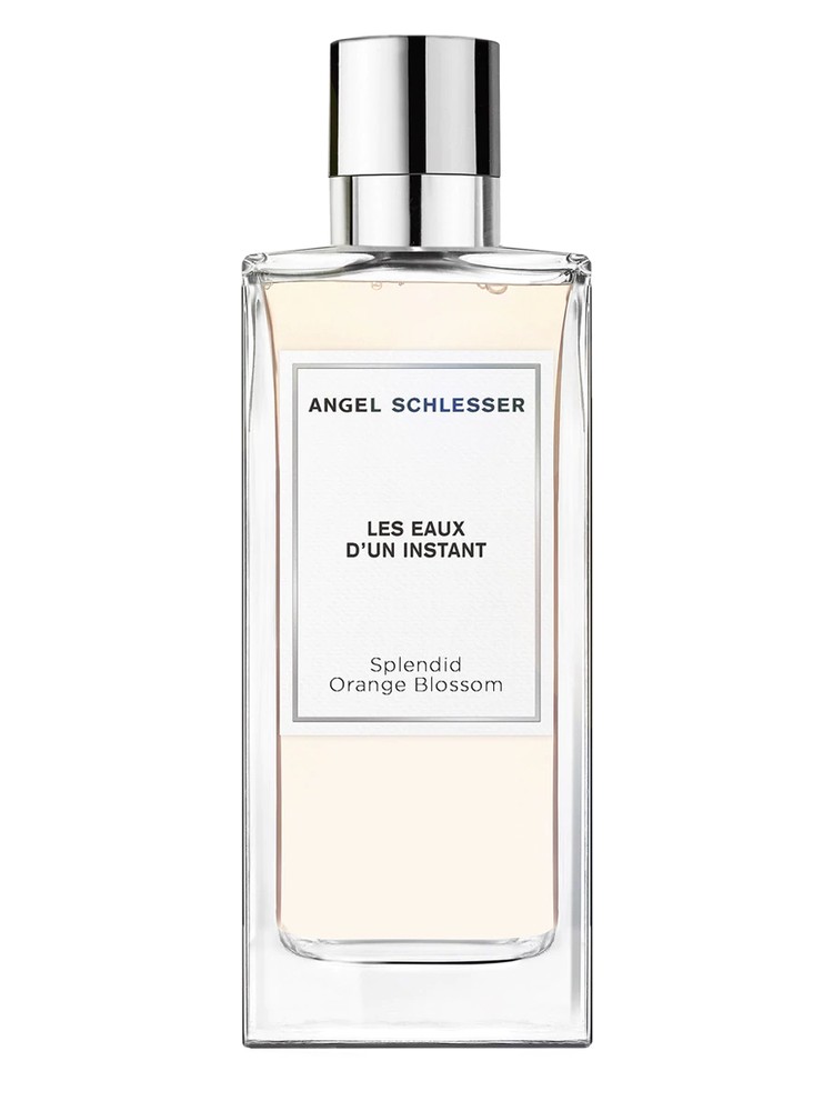 Splendid Orange Blossom – Angel Schlesser