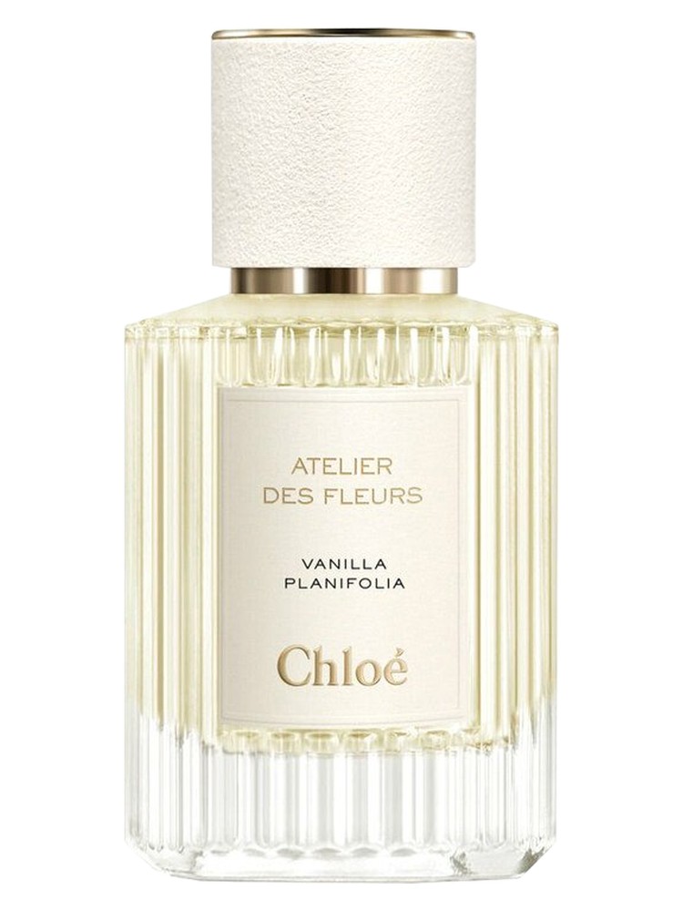 Vanilla Planifolia – Chloé