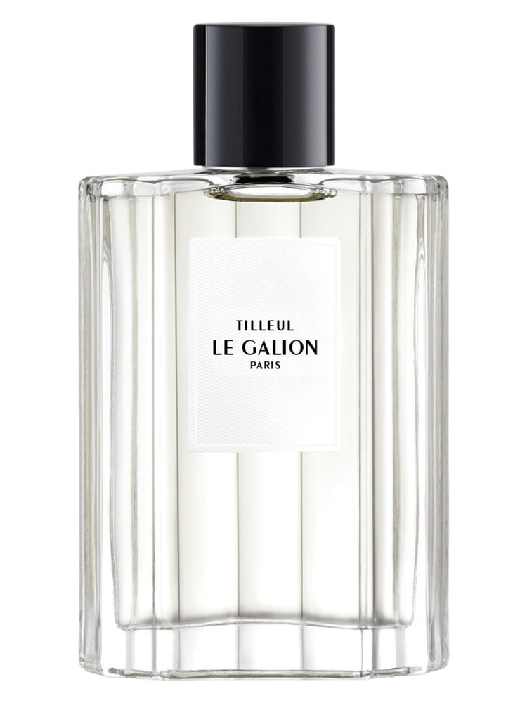 Tilleul – Le Galion