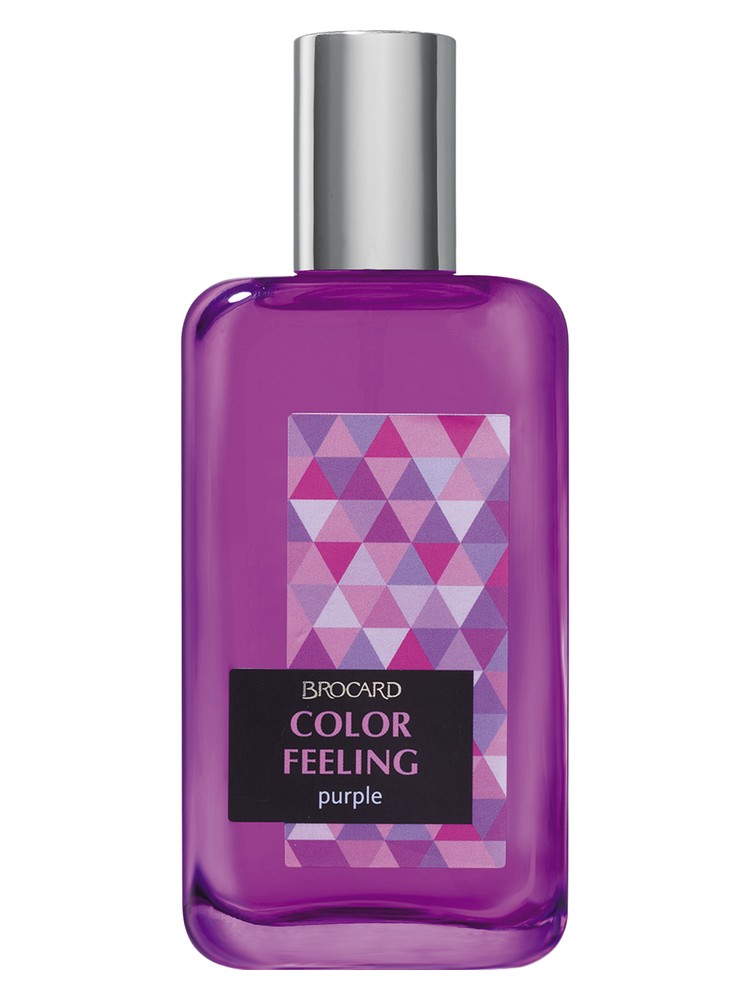 Color Feeling Purple – Brocard