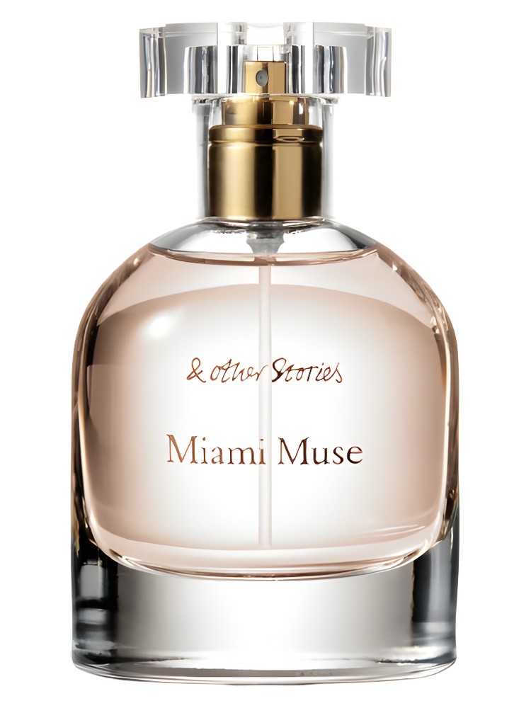 Miami Muse – And Other Stories