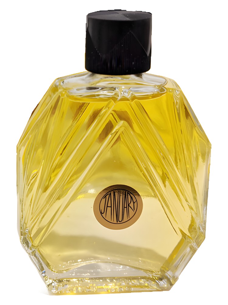 Selperniku Parfum Extrait – January Scent Project
