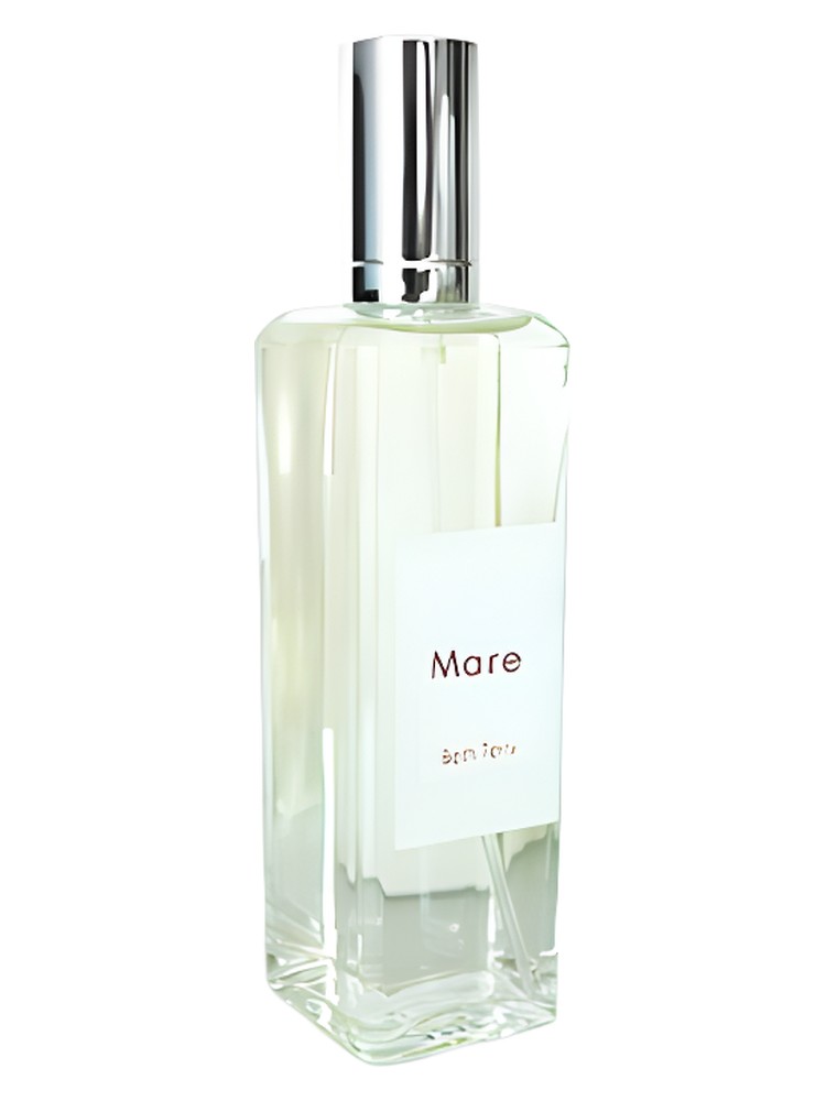 Mare – Creative Universe Beth Terry