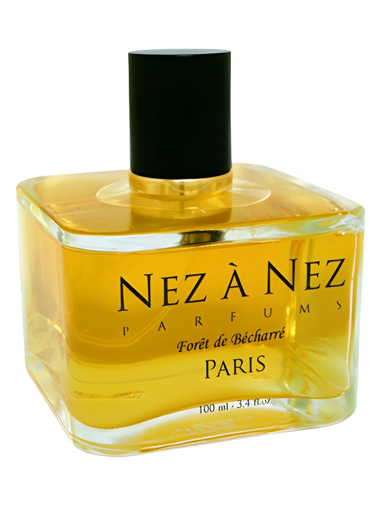 Foret de Becharre – Nez a Nez