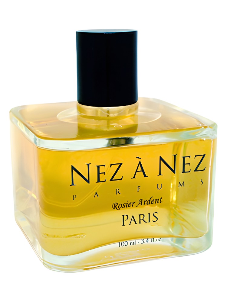 Rosier Ardent – Nez a Nez