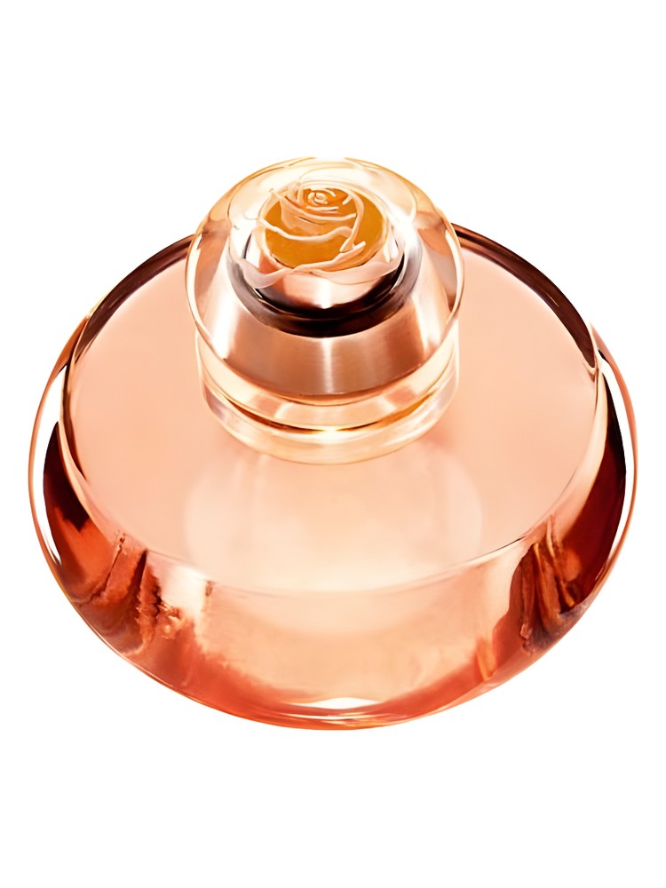 Volare – Oriflame
