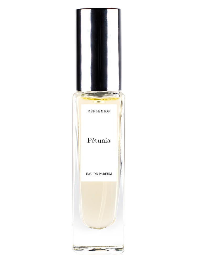 Pétunia – Reflexion