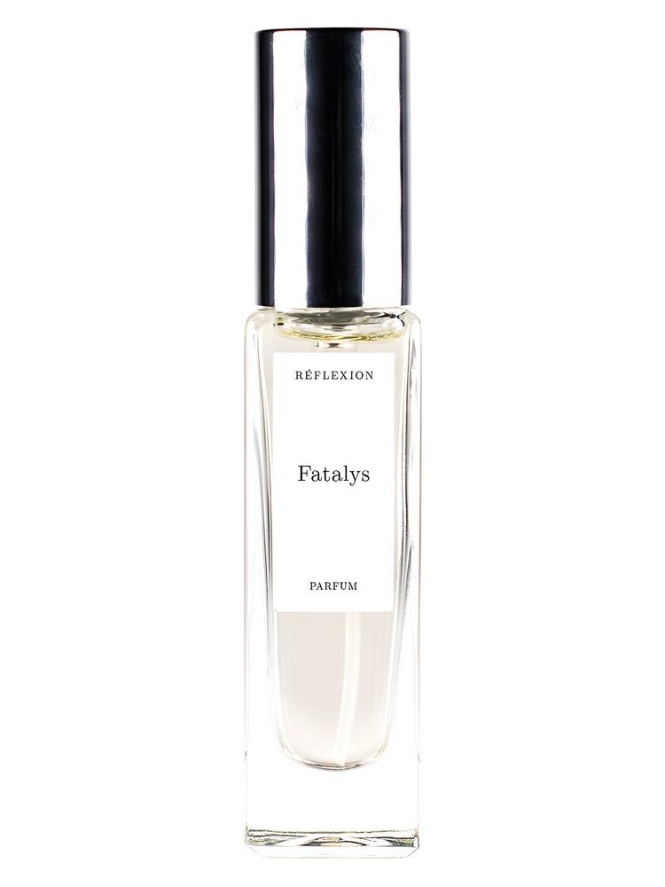Fatalys – Reflexion