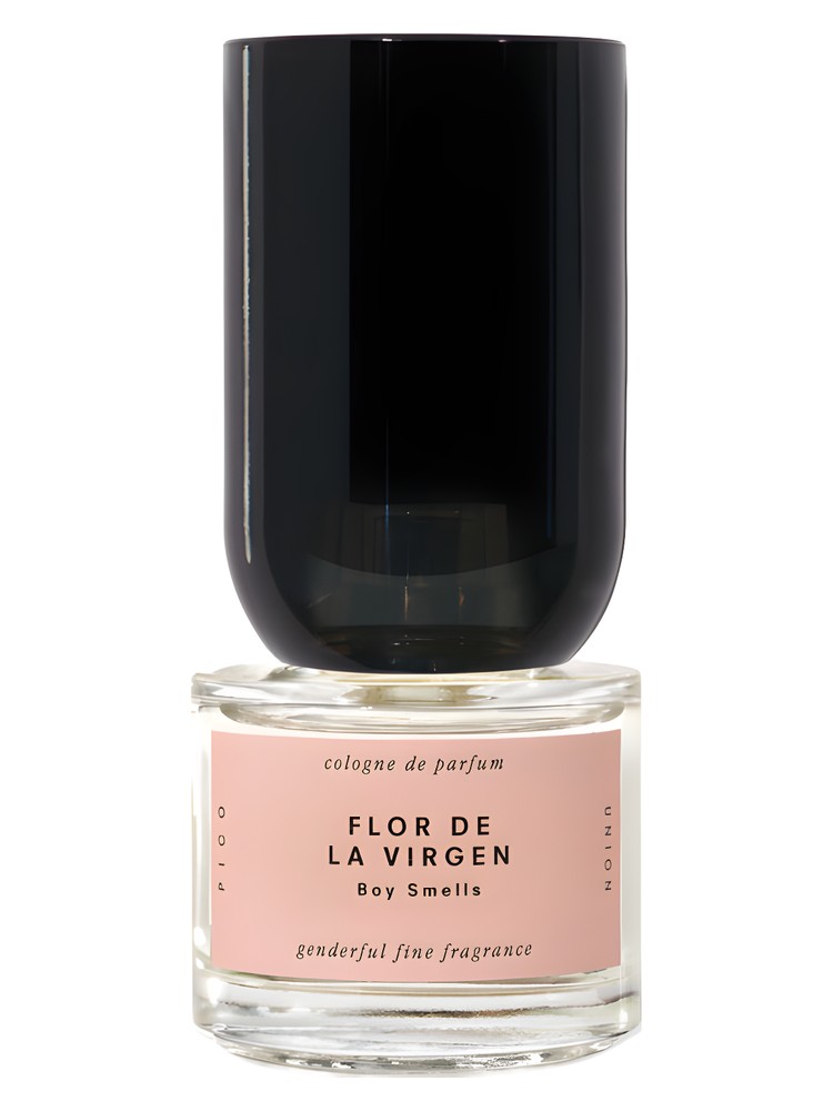 Flor de la Virgen – Boy Smells