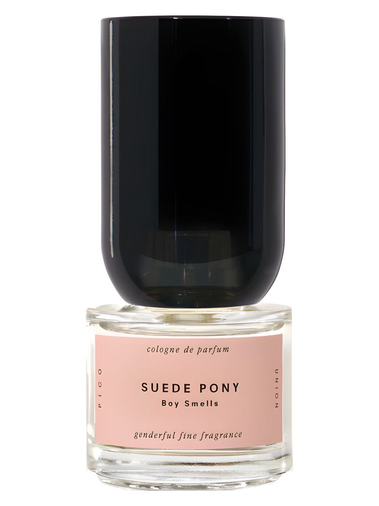 Suede Pony – Boy Smells