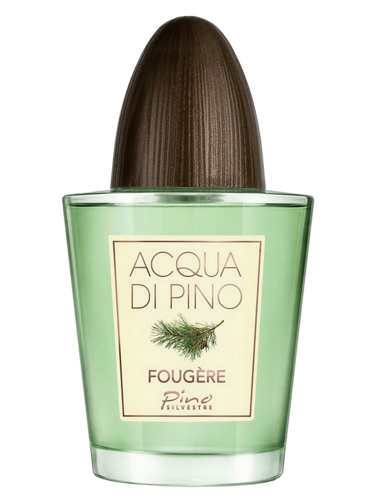 Acqua di Pino Fougere – Pino Silvestre