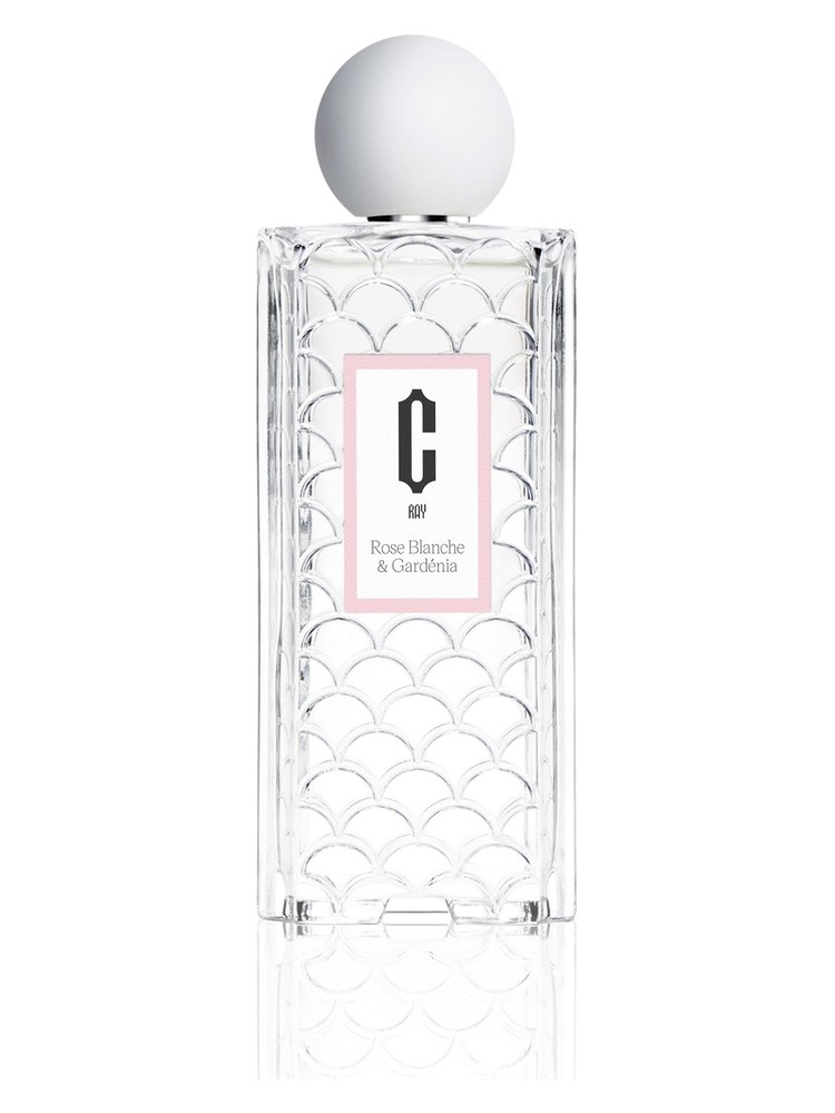 Rose Blanche & Gardénia – Carlotha Ray