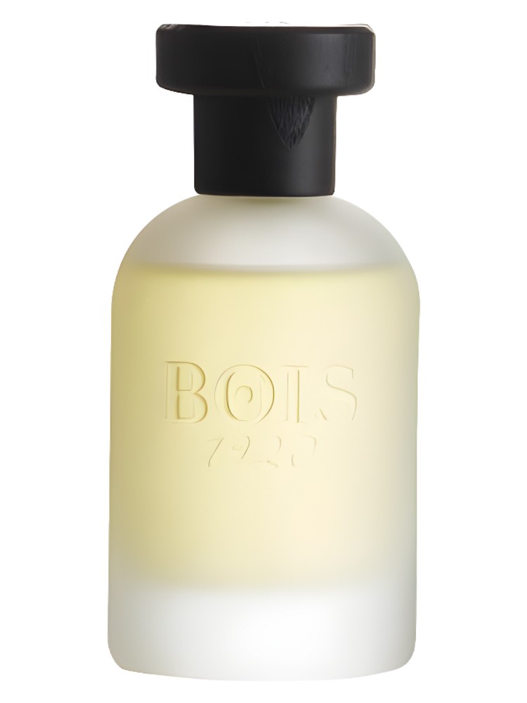 Classic Paradise – Bois 1920