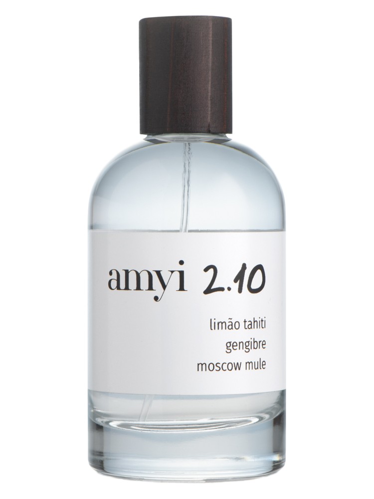 Amyi 2.10 – Amyi