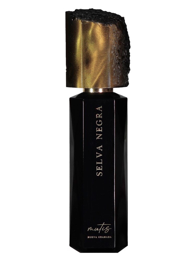 Selva Negra – Mutis Nueva Granada