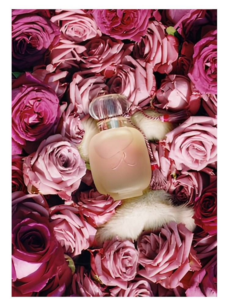 Une Folie de Rose – Les Parfums de Rosine