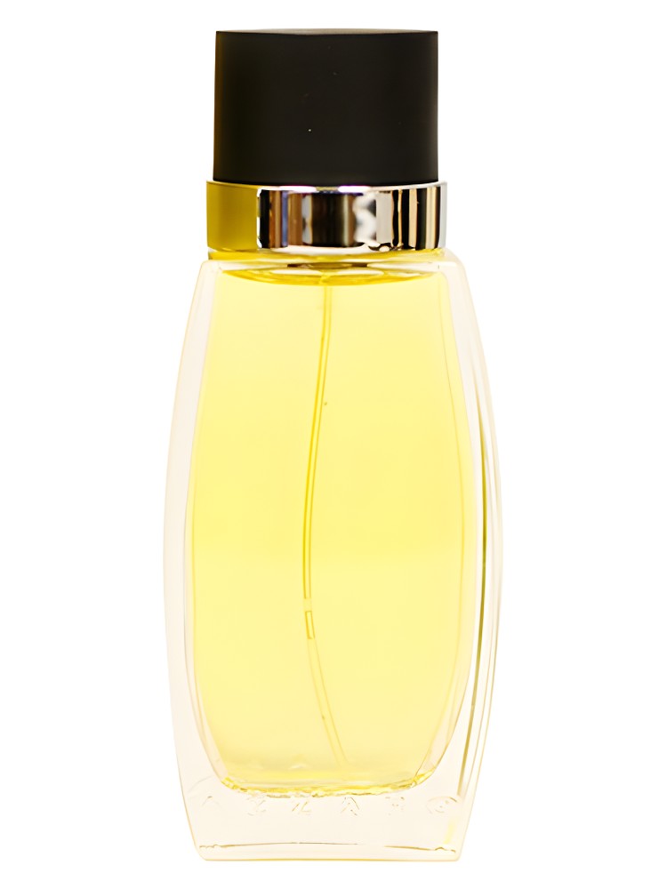 Pure Cedrat – Azzaro
