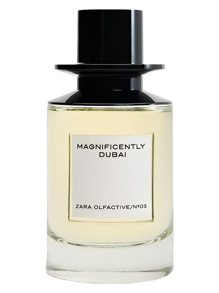 Magnificently Dubai – Zara