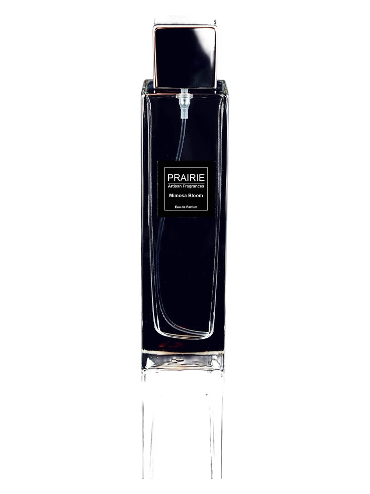 Mimosa Bloom – Prairie Artisan Fragrances
