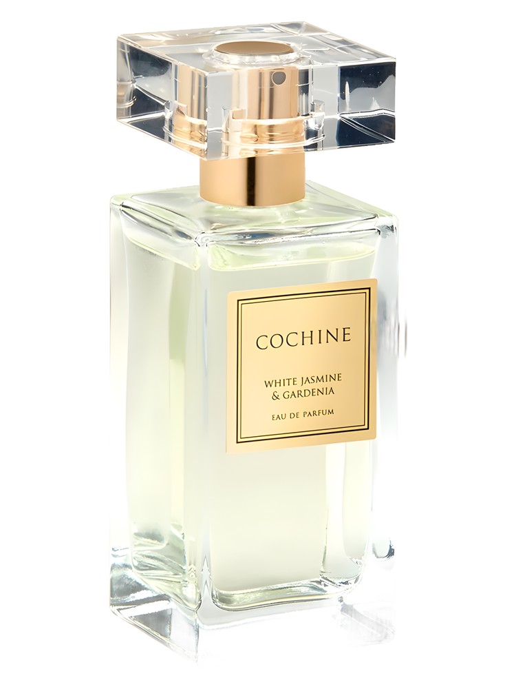 White Jasmine & Gardenia – COCHINE