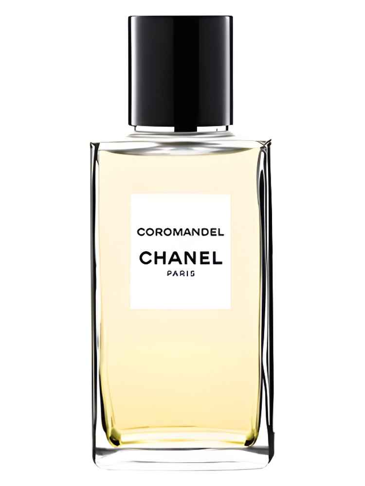 Les Exclusifs de Chanel Coromandel – Chanel