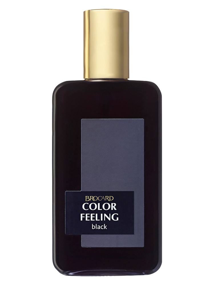 Color Feeling Black – Brocard