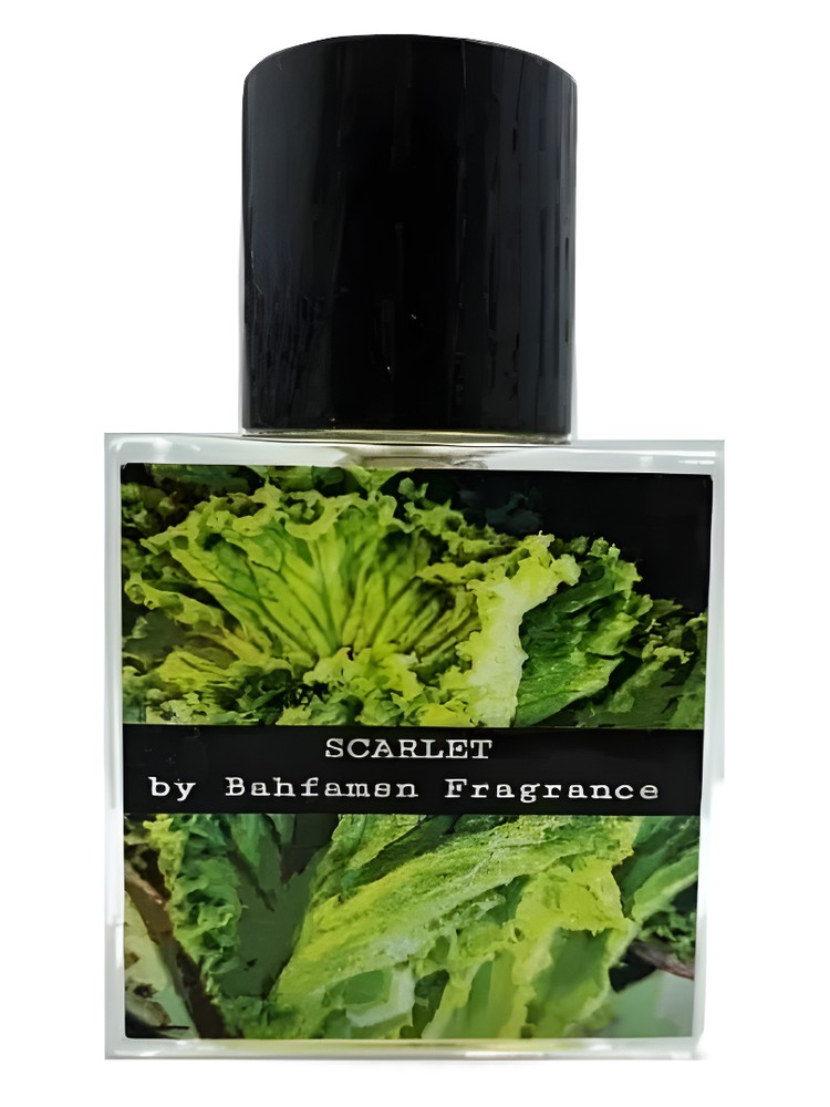 Scarlet – Bahfamsn Fragrance