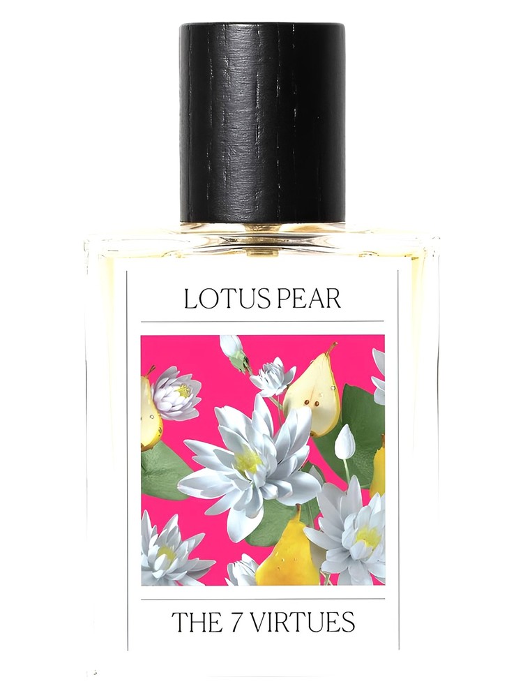 Lotus Pear – The 7 Virtues