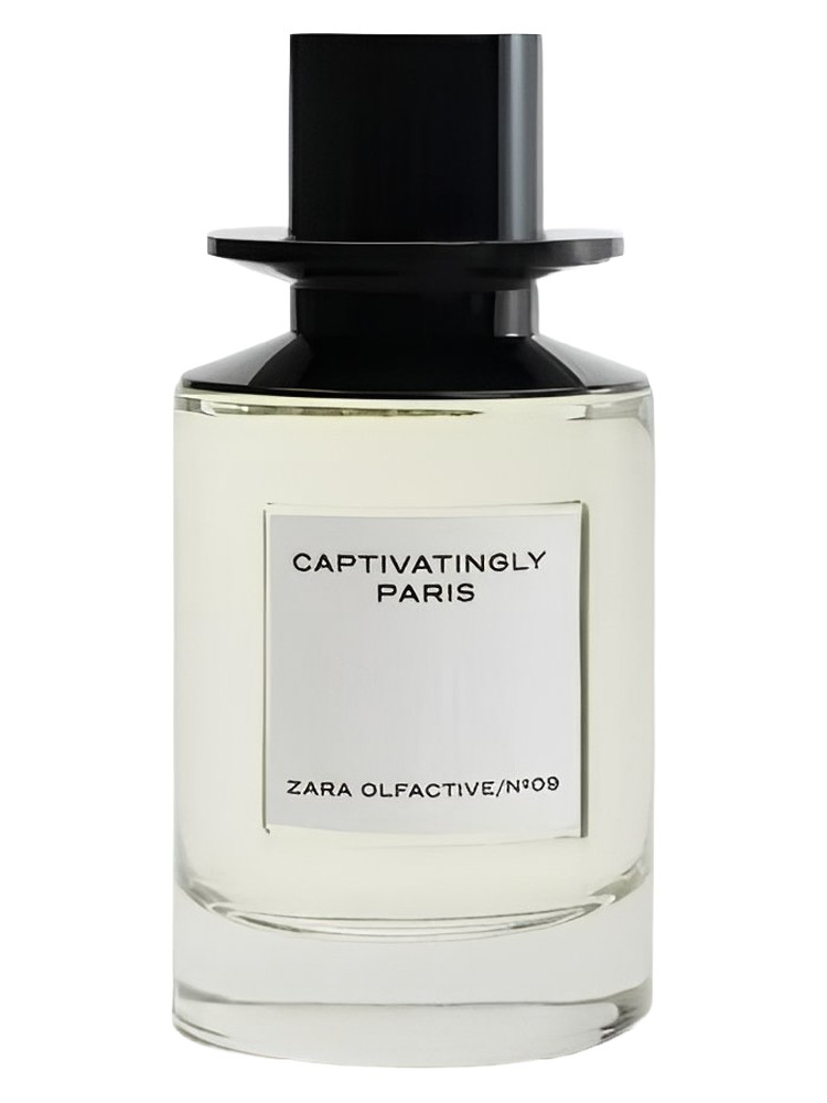 Captivatingly Paris – Zara