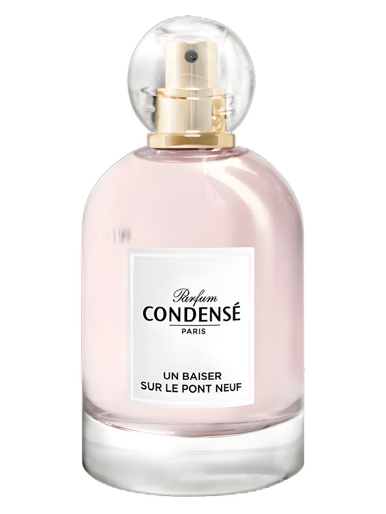Un Baiser sur le Pont Neuf – Condensé Paris